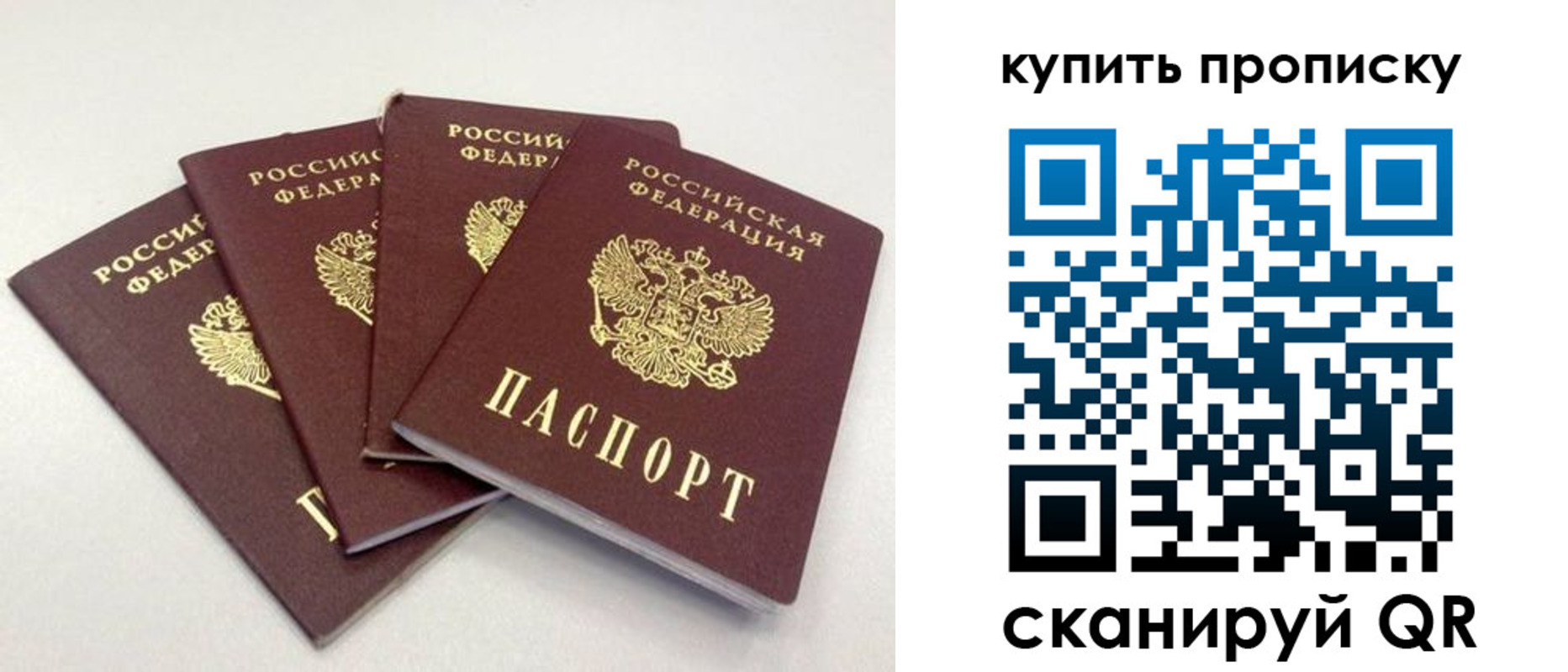 форма 3 в Камчатском крае